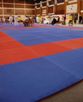 метровые коврики пазлы, красно-синие спортивные маты для спортзала